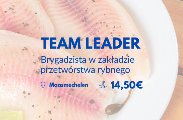 Team Leader / brygadzista - Maasmechelen (Belgia)